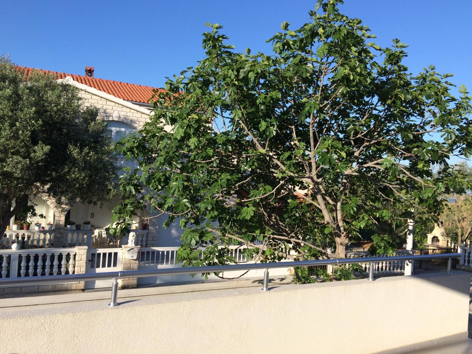 Casa Vito Apartman Nin Kültér fotó